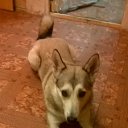 ��� �� ������� ���� ����������