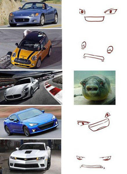 ������ ���������� ����� ���� ����. - 5