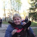 ���� ������, �����-���������, 49 ��� - ��������� 14 ��� 2015 � ������ ���� ����������