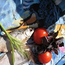 ���� �����, ������, 45 ��� - ��������� 8 �������� 2015 � ������ ������� 2015....�SSS��������