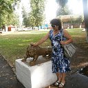 ���� �������, ������, 68 ��� - ��������� 29 ���� 2015 � ������ ���� ����������