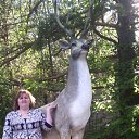 ���� �������, ���������, 53 ���� - ��������� 29 ���� 2015 � ������ ����� ����Ĩ�Ȼ