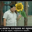 ���� ��������, �����������, 40 ��� - ��������� 23 �������� 2015 � ������ ������ ��������