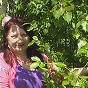 ���� �������, ������ ��������, 67 ��� - ��������� 31 ��� 2015 � ������ ��������� ������� �������