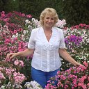 ���� ���������, ����������� - ��������� 23 ������� 2015 � ������ ���� ����������