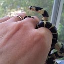 ���� ������, ������, 51 ��� - ��������� 23 ������� 2015 � ������ ��������