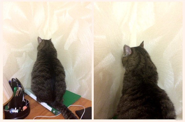 �����! ������! ���������! ���������!.. � ���� ����� ������� � ������...