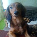 ���� Mrs, ���� - ��������� 2 ���� 2015 � ������ ���� ����������