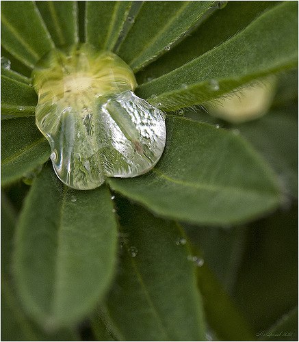 � ����� ����� ������� � �����, � ����� ���������� ������� � ���, ��� ���� ����� � ���� ������, � ��� ... - 3