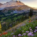 ���� ����, ������ - ��������� 19 ��� 2015 � ������ ���� ����� ��������