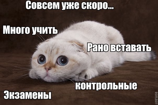 ? ,  ! - 20  2015  09:32