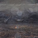 ���� ������, ���������, 59 ��� - ��������� 13 ���� 2015 � ������ ���� ����������