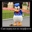 ���� ����, ���������, 43 ���� - ��������� 13 ���� 2015