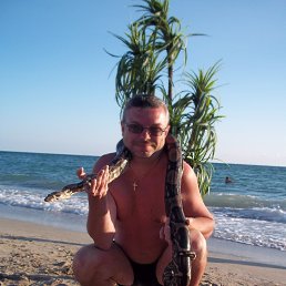 ���� ������, ����, 51 ��� - ��������� 14 �������� 2015