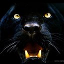 ���� ������, ����, 54 ���� - ��������� 23 ���� 2015 � ������ ���� ����������