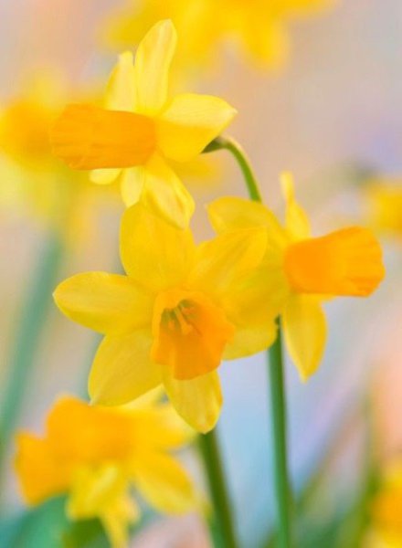 ||  ... || - 16  2015  12:28 - 3