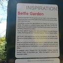 ����� � Keukenhof, ��� ����� ������� ����� �� ������� ��������� ������