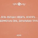 ���� ����, �����, 49 ��� - ��������� 16 ���� 2015 � ������ ������ ��������