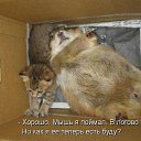 ���� ���, ������, 38 ��� - ��������� 16 ���� 2015 � ������ ��������.�