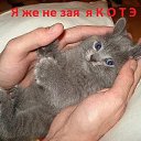 ���� �����, �������������, 80 ��� - ��������� 4 ������� 2015 � ������ ����� ��������
