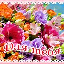 ���� Ledi, ������������ - ��������� 4 ������� 2015 � ������ �������� ��������