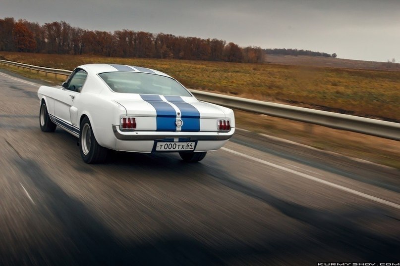 Ford Mustang Shelby GT350 - 5