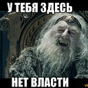 ���� C�����, �����-���������, 52 ���� - ��������� 28 ���� 2015 � ������ �������� �����
