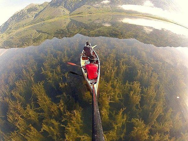 прозрачная вода настолько...что водоросли кажутся......лесом..!!!