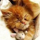 ���� �������, ������, 51 ��� - ��������� 24 ���� 2015 � ������ ������ ��������