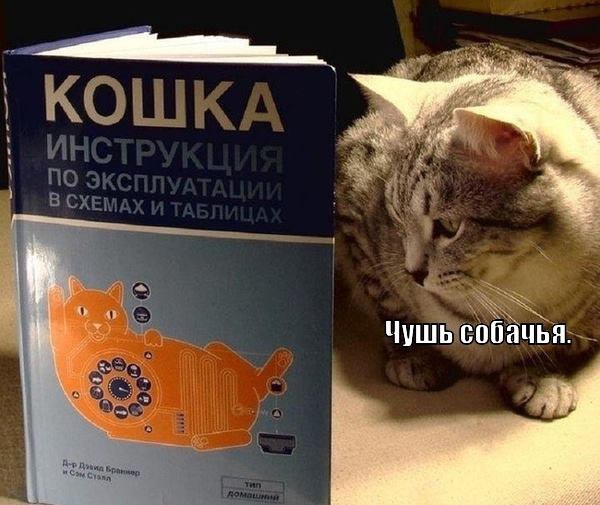  - 1  2015  13:43
