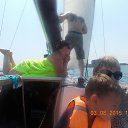  , , 45  -  4  2015    2015