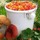 ���� �������, ������, 51 ��� - ��������� 18 �������� 2015 � ������ ������ ��������