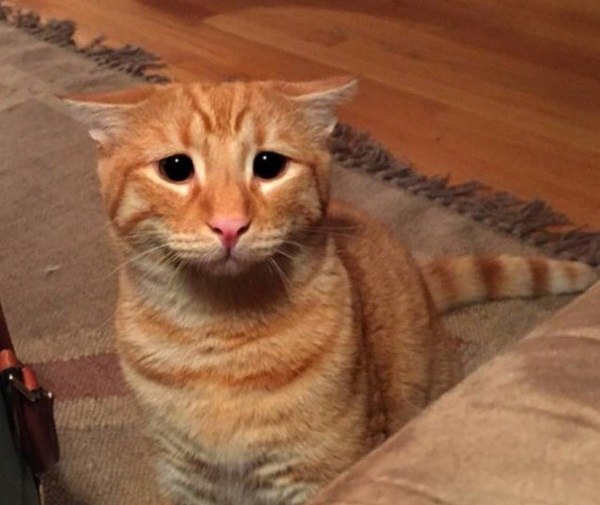   :3