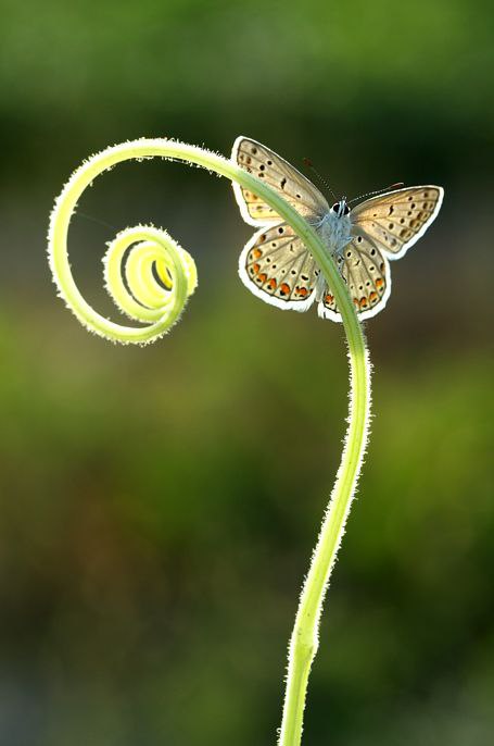 ����� ������� - 28 ���� 2015 � 04:01 - 4
