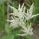 ���� ���������, ����������, 77 ��� - ��������� 2 ���� 2015 � ������ ���� ����������