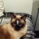 ����� �� ������� ���