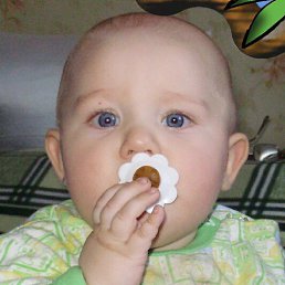 ������, �������, 62 ����