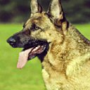 ���� ������, ������, 39 ��� - ��������� 16 ���� 2015 � ������ ���� ����������