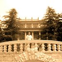  , -, 49  -  27  2015    