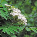 ���� ���������, ������, 65 ��� - ��������� 21 ��� 2015 � ������ ������ 2015�