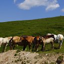 ���� ���������, �������� - ��������� 11 ������� 2015 � ������ ���� ����������