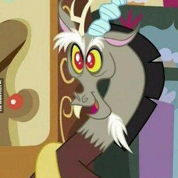 ����, ���������, 23 ����