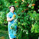 ���� �����, ��������, 51 ��� - ��������� 3 ������� 2015 � ������ ���� ����������