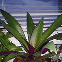 ���� ���, ����� - ��������� 9 ������� 2015 � ������ ���� ����� � �����������!�