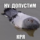 ���� ���������, ������, 65 ��� - ��������� 24 ��� 2015 � ������ ���� ����������
