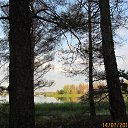  , -- -  19  2015    2015