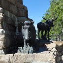 �����-�������� �� ������� �������(�����)�