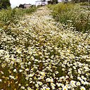 ���� �����, ����-������� - ��������� 1 �������� 2015 � ������ ������ ��������