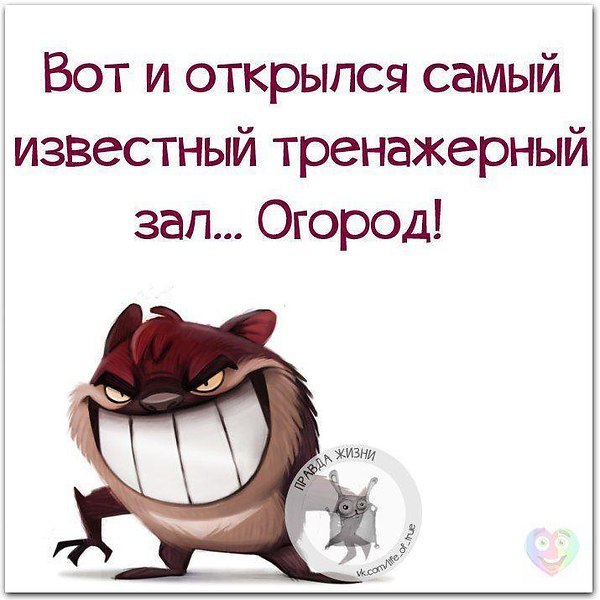 Вот и открылся самый известный тренажерный зал какой огород