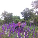 ���� Vladimir, ��������, 71 ��� - ��������� 2 ���� 2015 � ������ ���� ����������